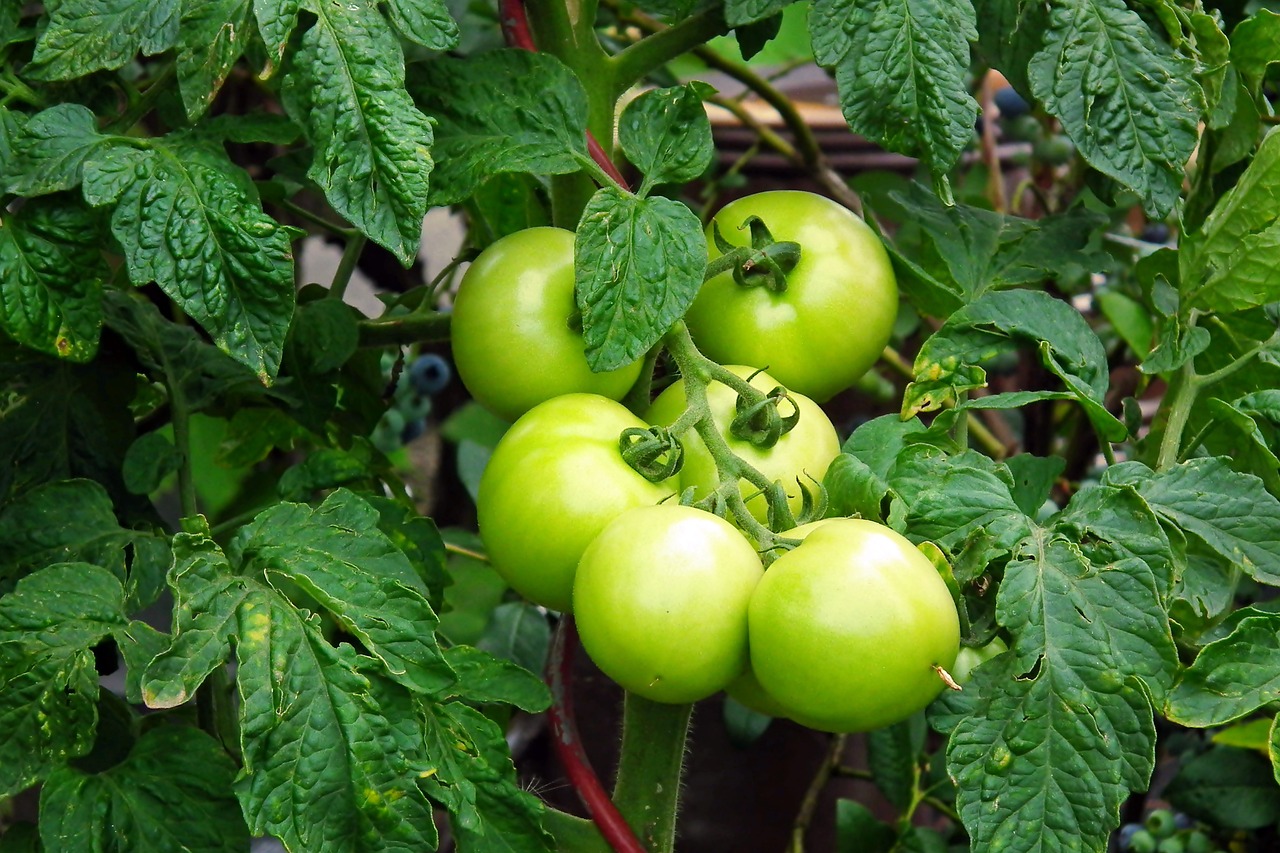 Pomodoro macro