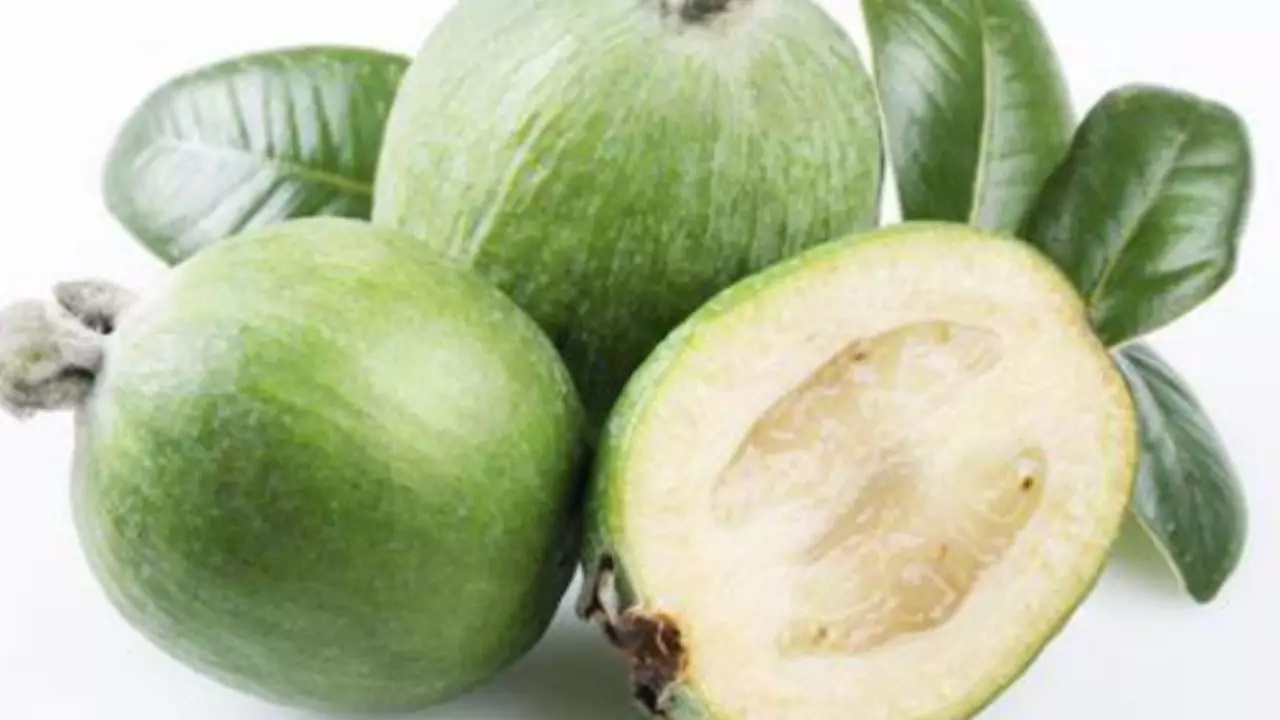 feijoa