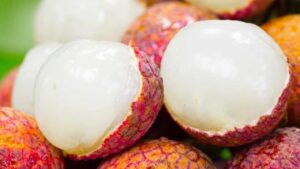 Come coltivare i litchi a casa tua in modo semplice