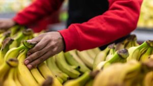 Le banane ti dureranno di più: cosa devi guardare al supermercato prima di acquistarle