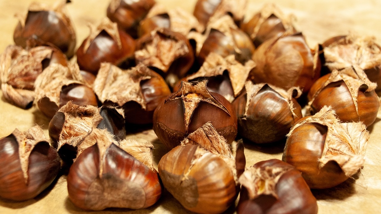 castagne cotte