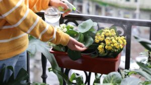 8 preziosi consigli per coltivare le piante sul balcone