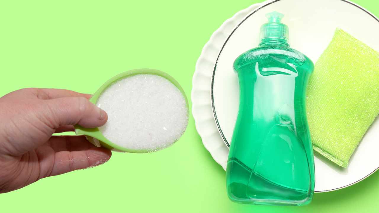 mano con sale e piatto con sapone per piatti