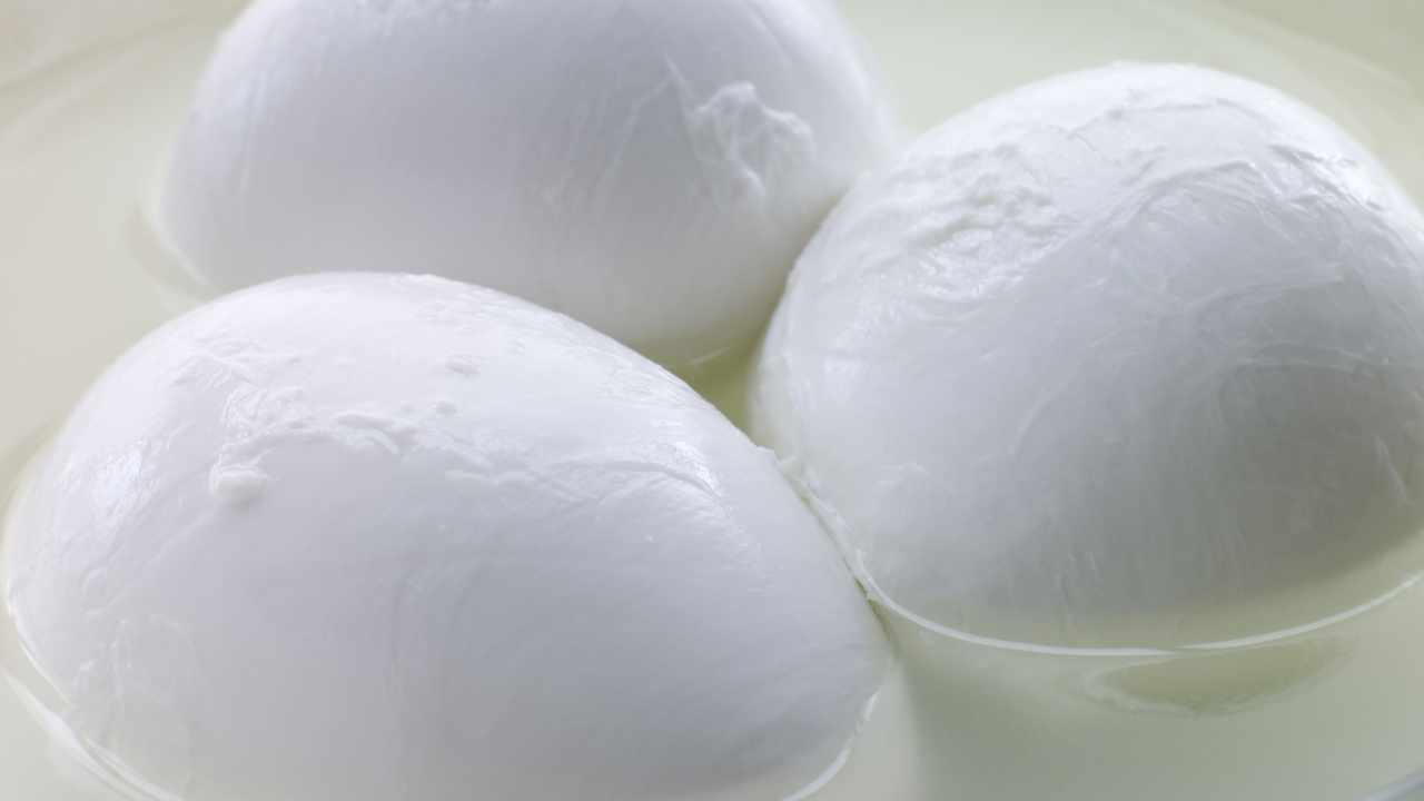 conservazione mozzarella