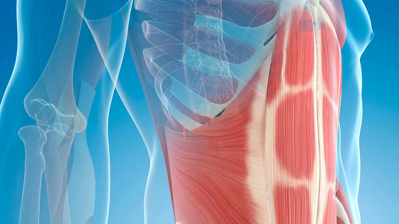 fattori rischio grasso addominale